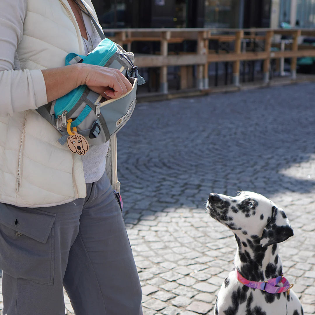 Urban Explorer Walking Bag | Ice Gray