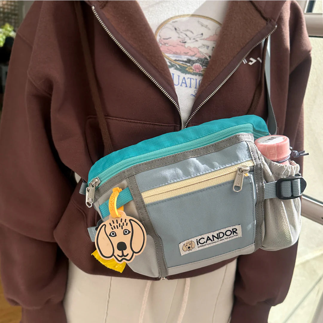 Urban Explorer Walking Bag | Ice Gray