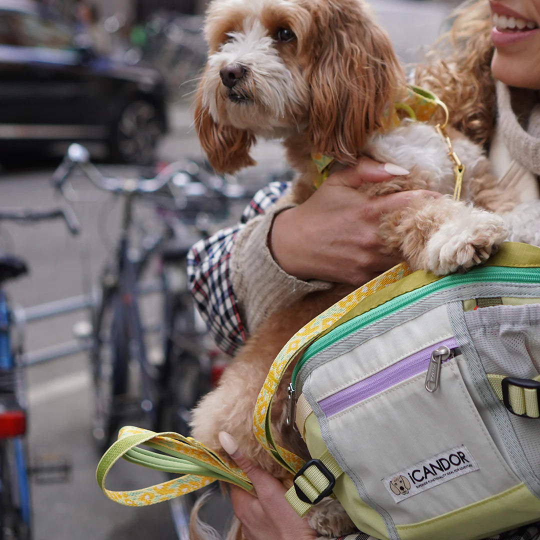 Urban Explorer Walking Bag | Lime Yellow