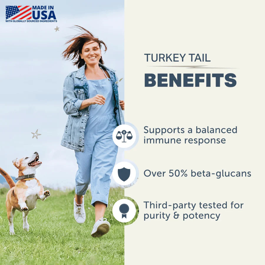 Turkey Tail Mushroom | Immune Booster Dog Supplement