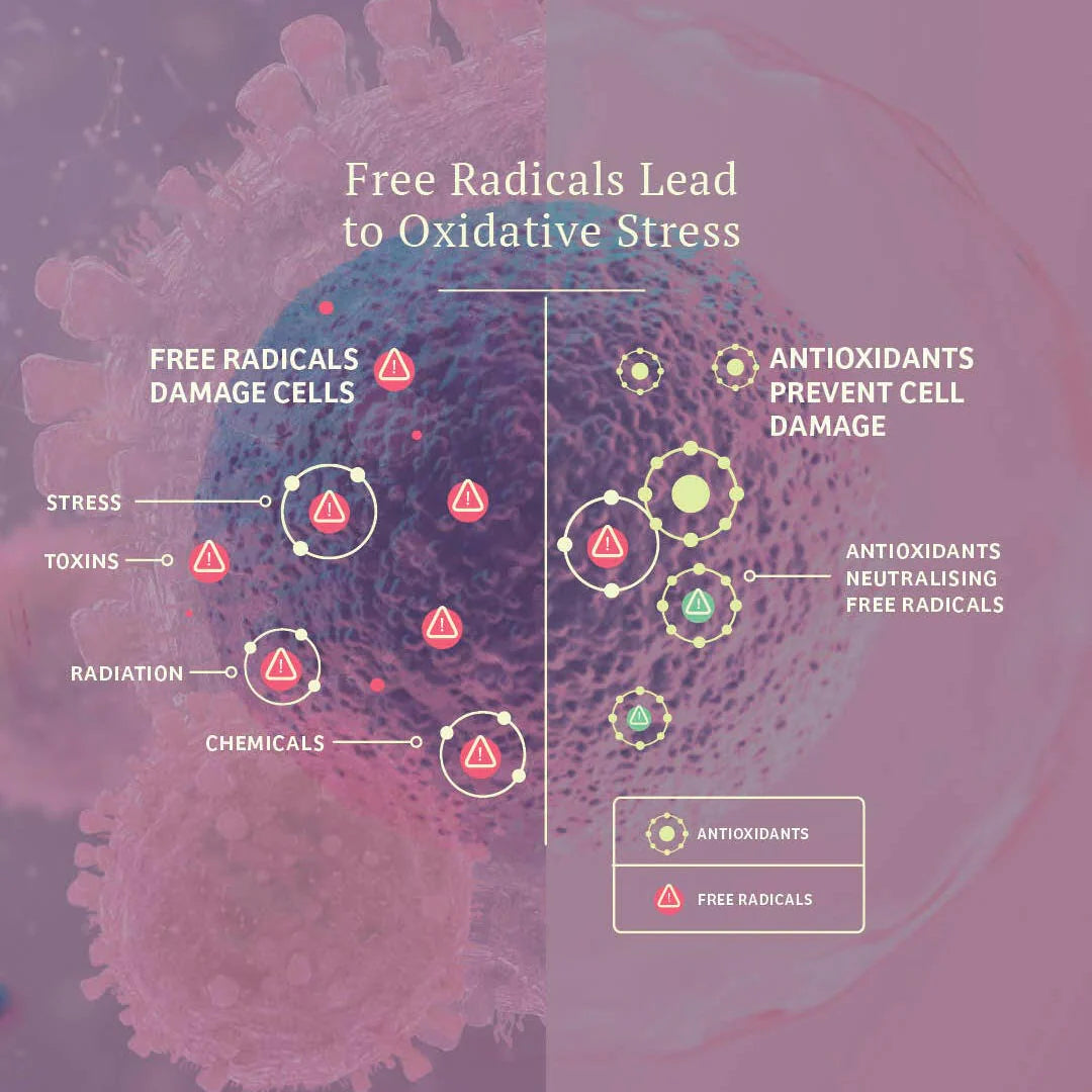 Vital Defense | Cellular Support (50g)
