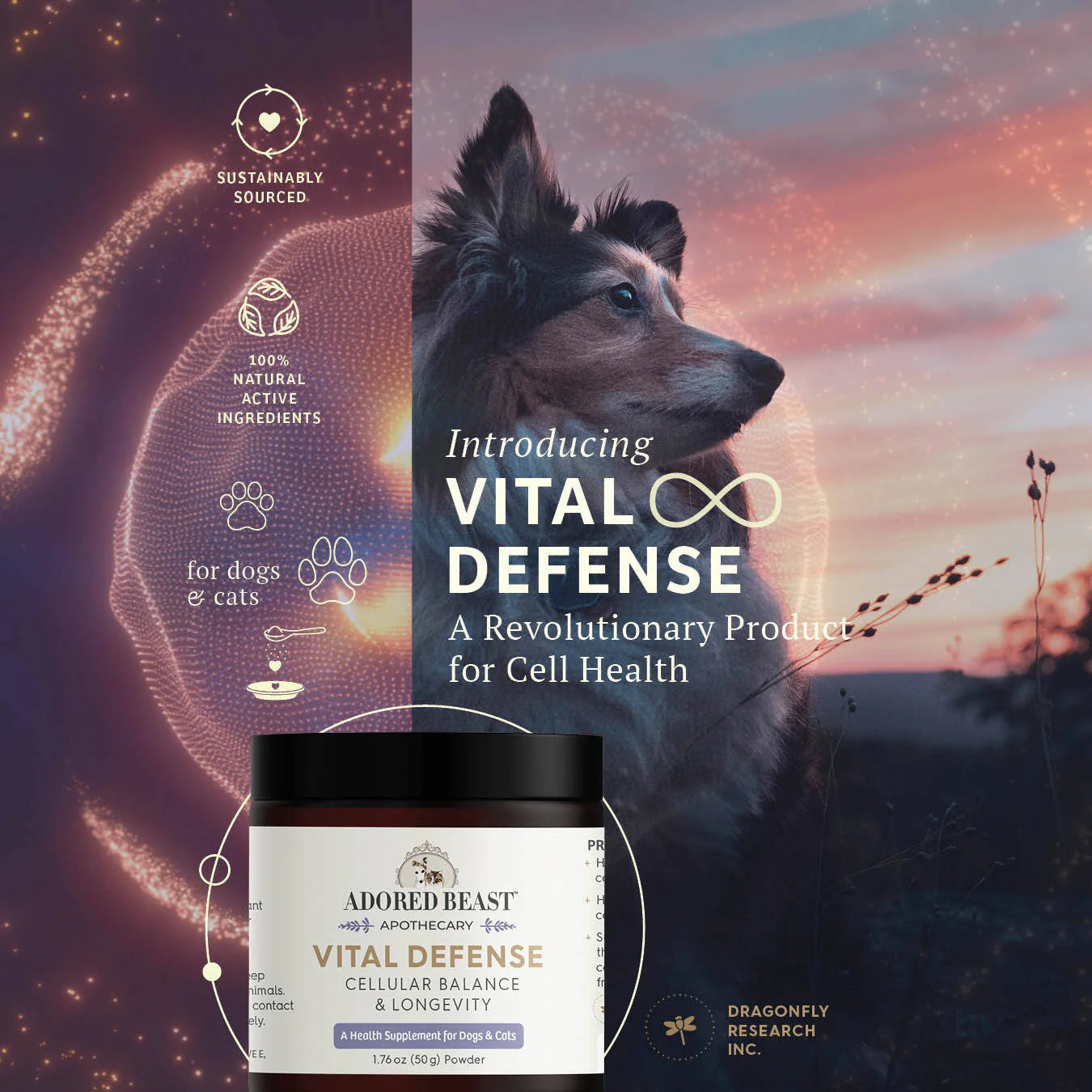 Vital Defense | Cellular Support (50g)
