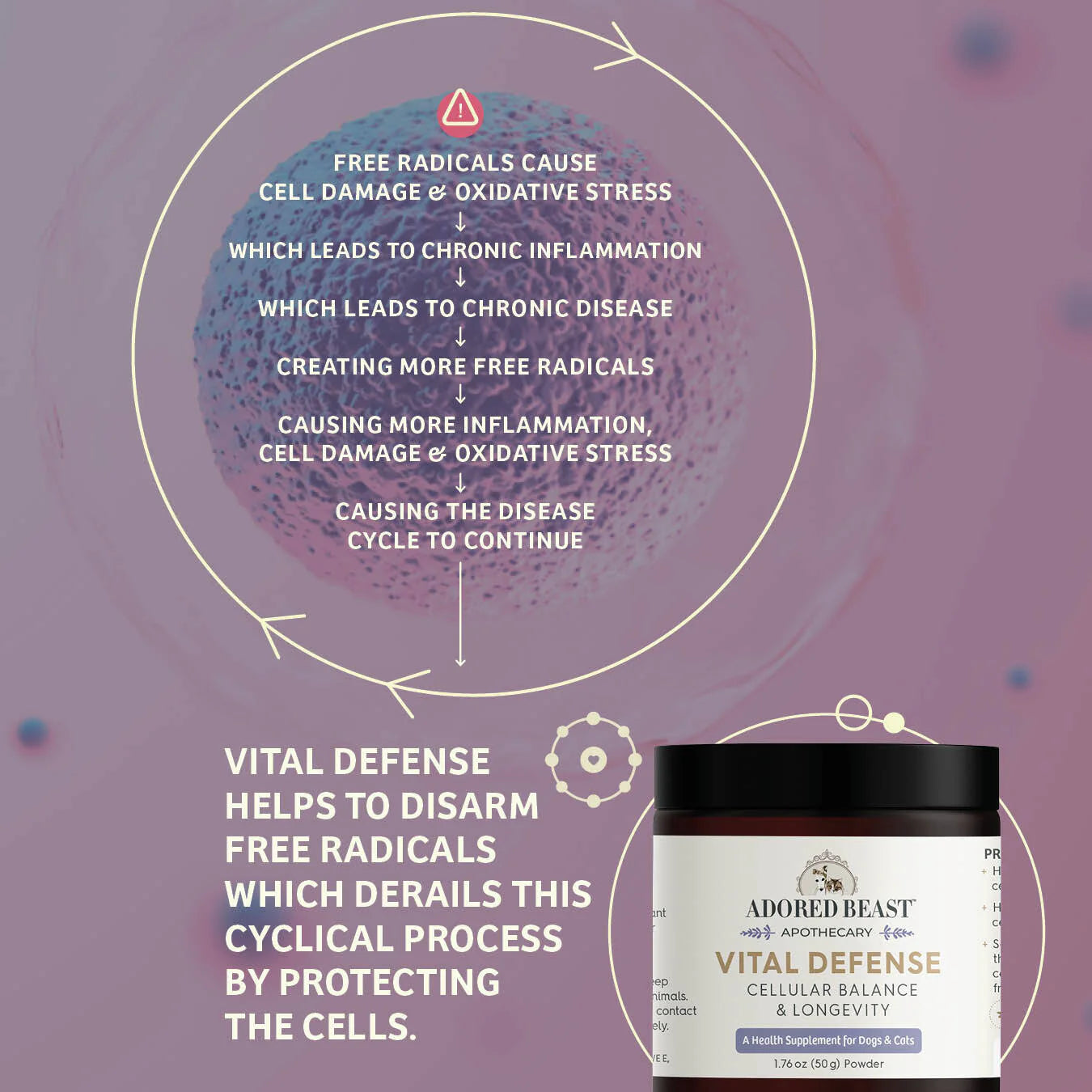 Vital Defense | Cellular Support (50g)