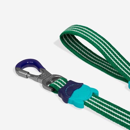 Vert Velvet Vibes Leash-3