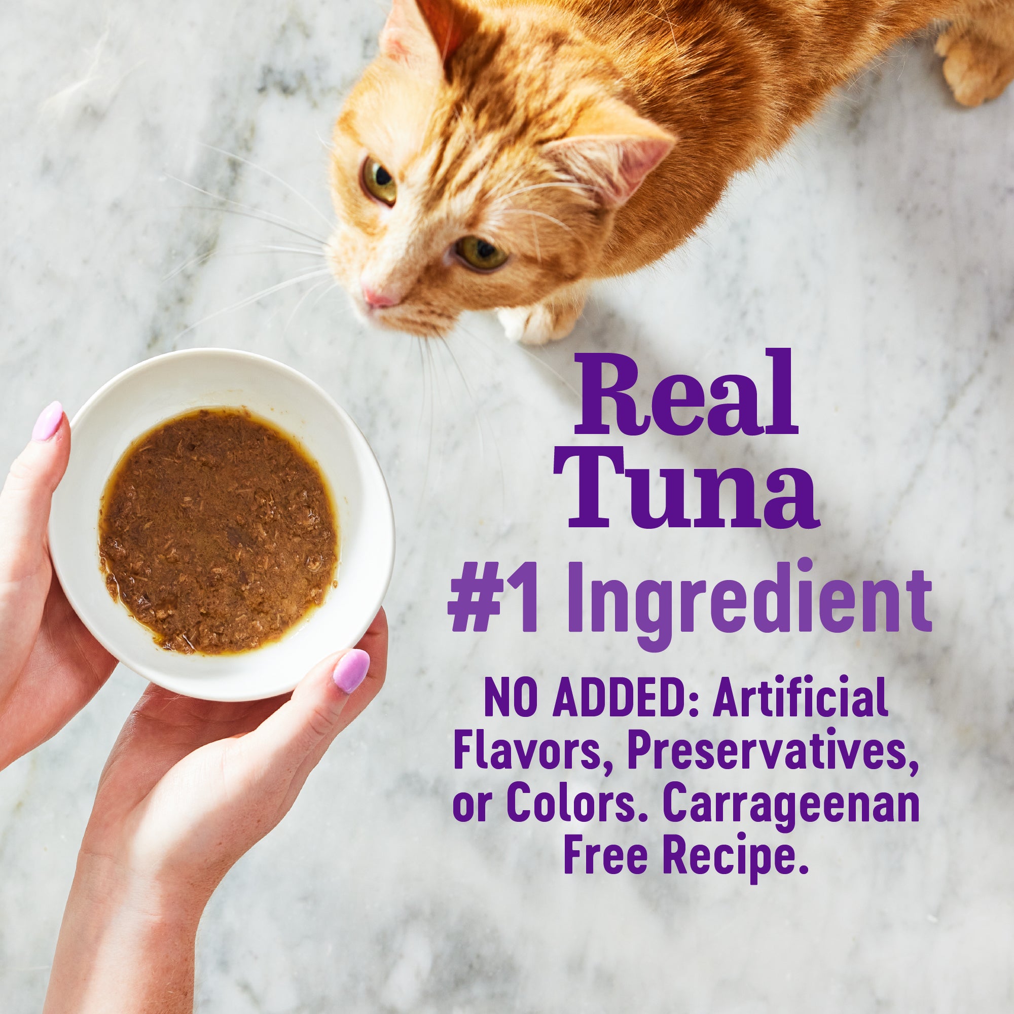 Appetizing Entrees Flaked Tuna Recipe Wet Cat Food (1.4 oz)