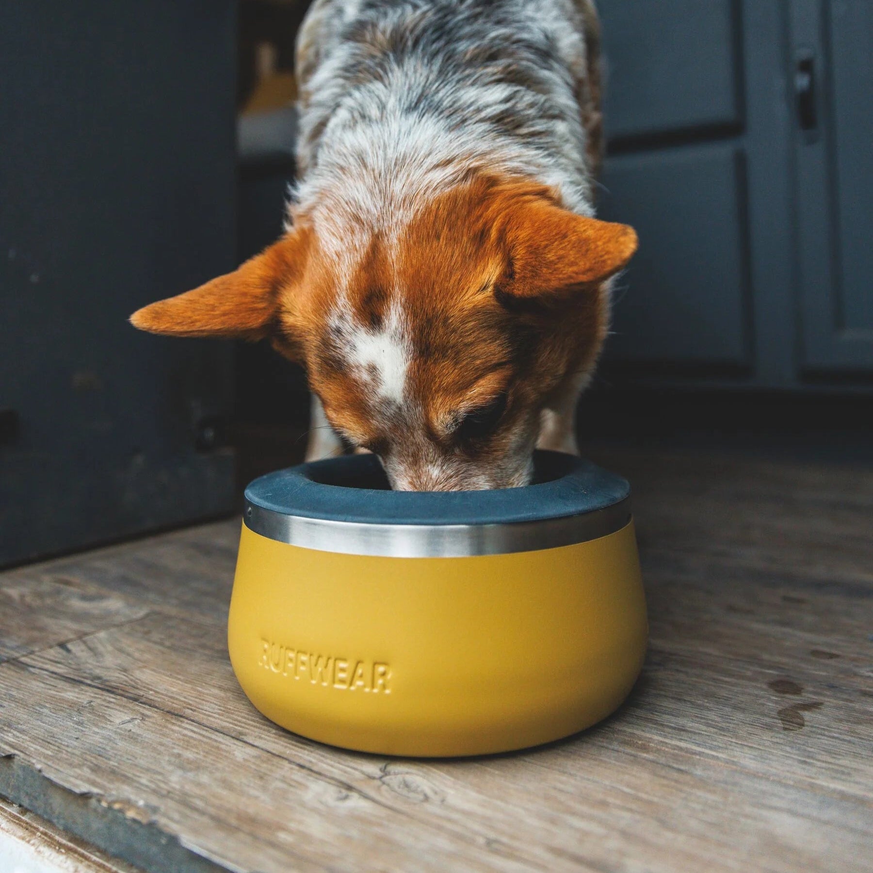 Basecamp™ Sound-Dampening Hard-Sided Dog Bowl