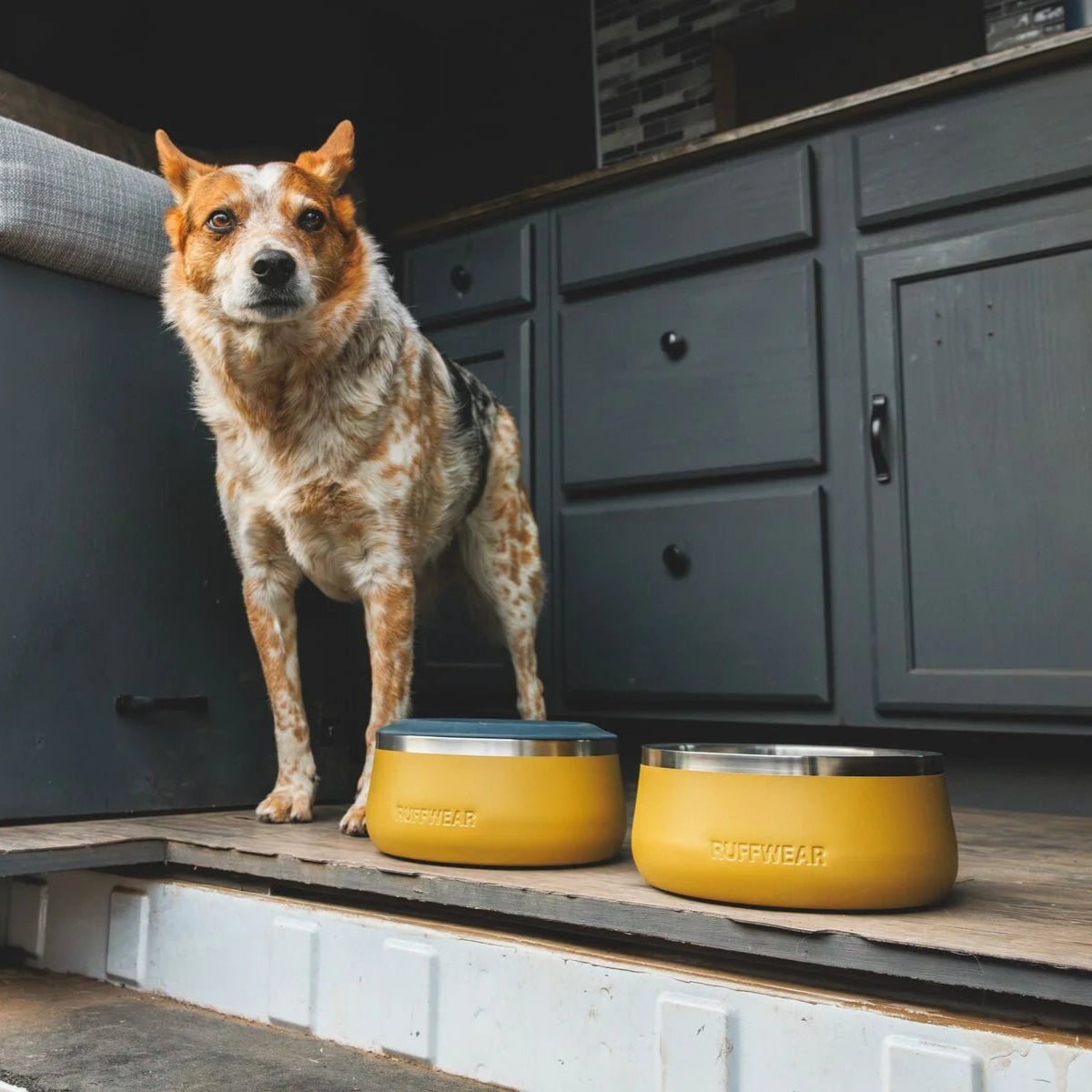 Basecamp™ Sound-Dampening Hard-Sided Dog Bowl (2 Colours)