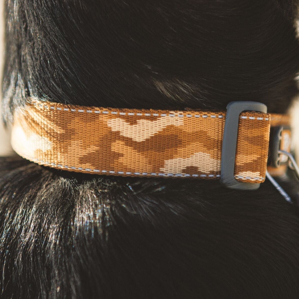 Crag™ Reflective Dog Collar