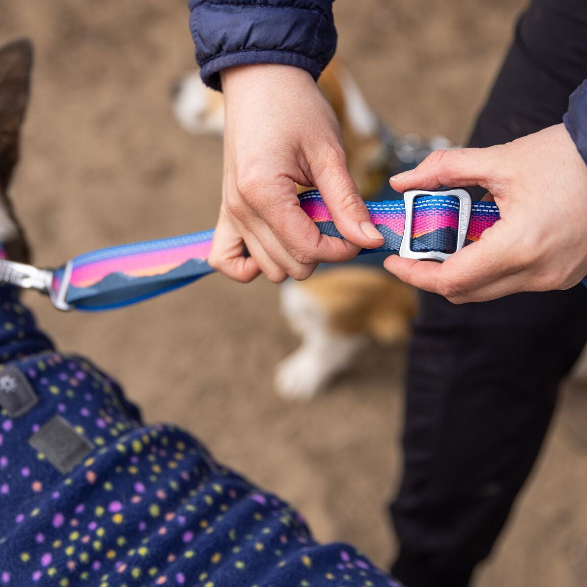 Crag™ Hands-Free Dog Leash
