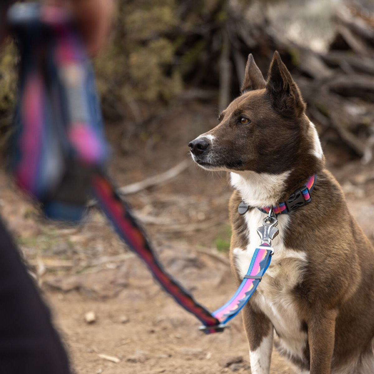 Crag™ Hands-Free Dog Leash