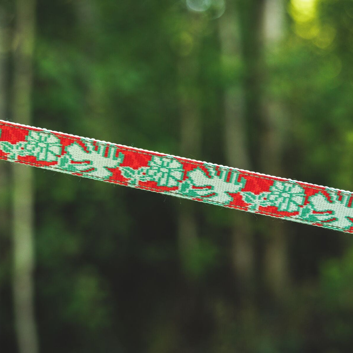 Crag™ Hands-Free Dog Leash