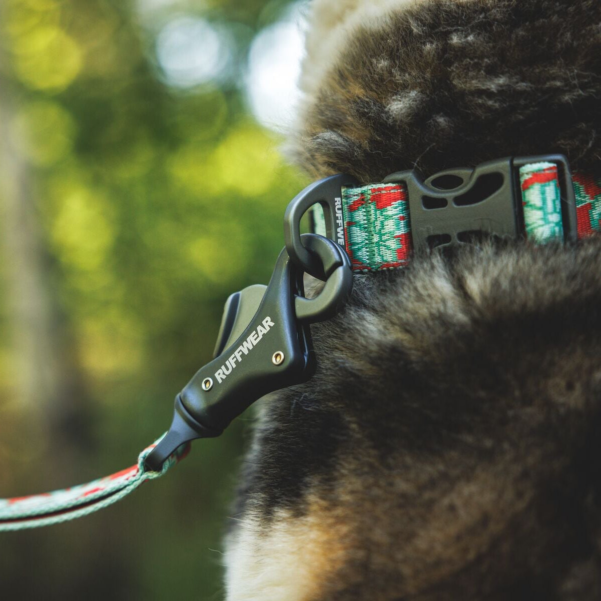 Crag™ Hands-Free Dog Leash