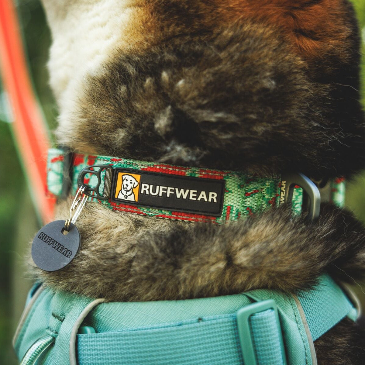 Crag™ Reflective Dog Collar