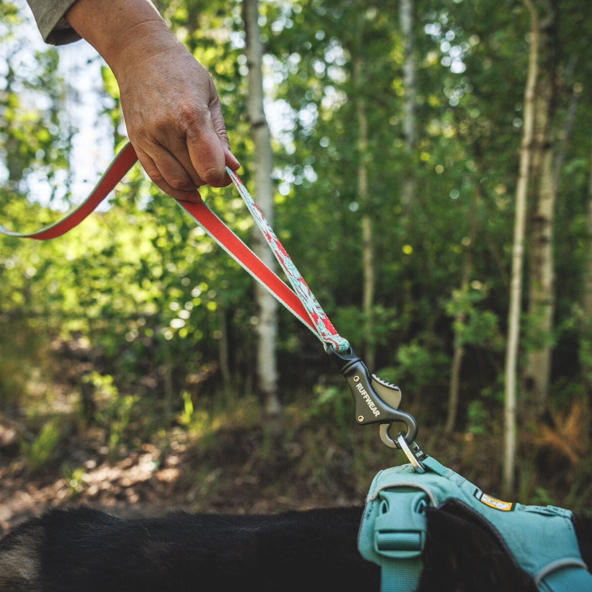 Crag™ Hands-Free Dog Leash
