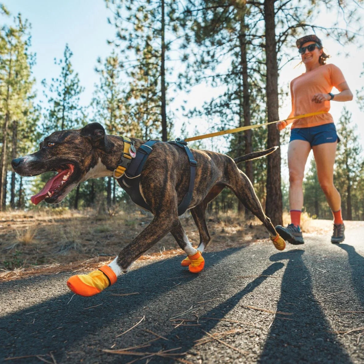 Summit Trex™ All-Season Dog Boots (2 Colours)