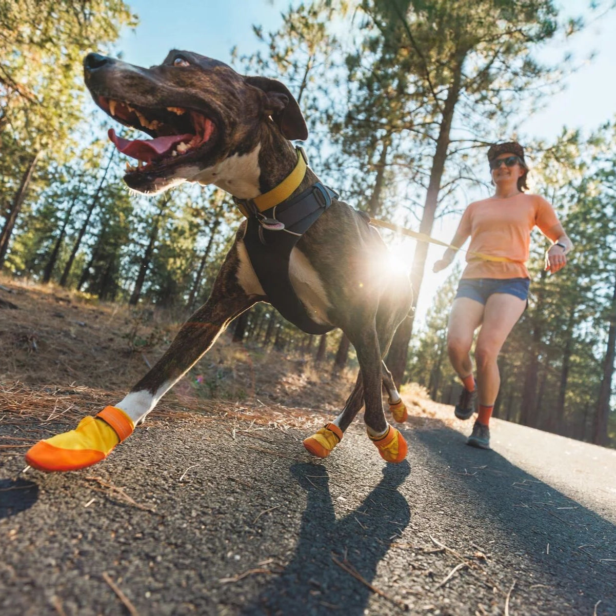 Summit Trex™ All-Season Dog Boots (2 Colours)