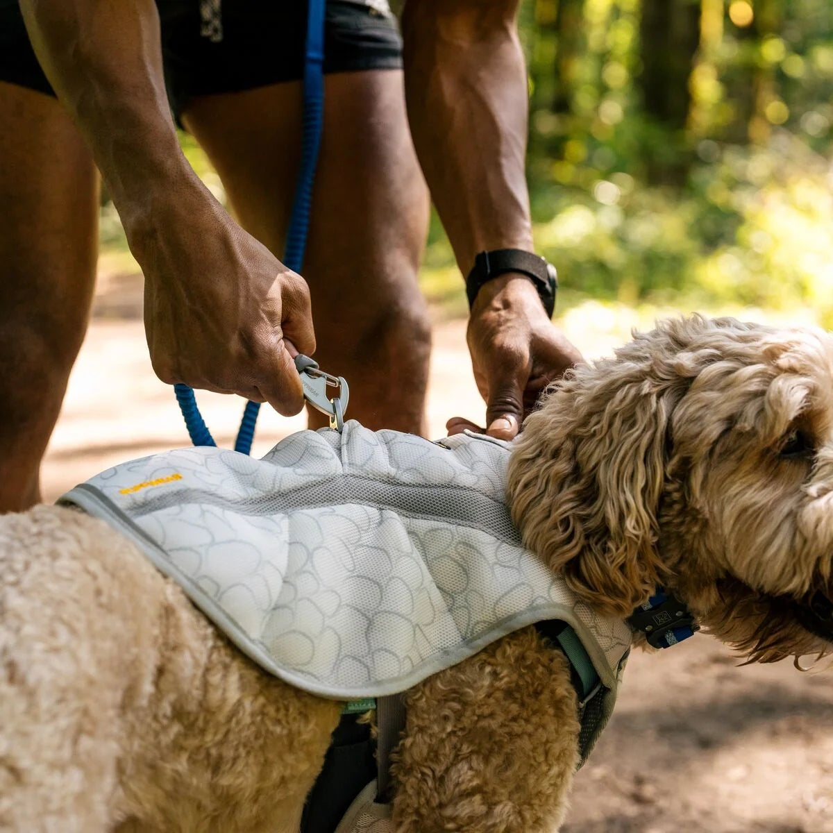 Swamp Cooler™ Reflective Cooling Dog Vest (2 Colours)