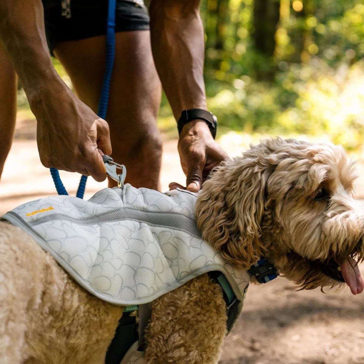 Swamp Cooler™ Dog Cooling Harness (2 Colours)