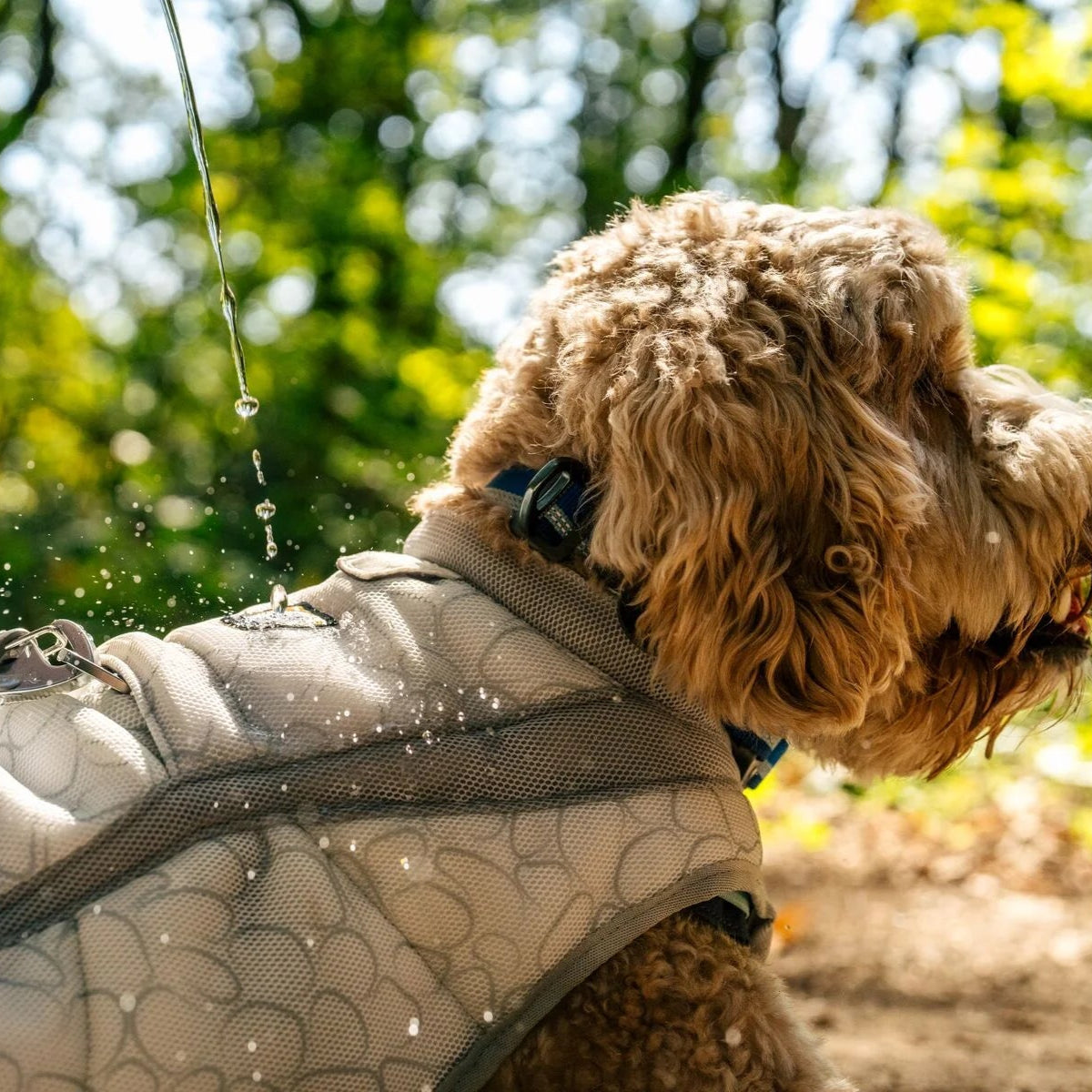 Swamp Cooler™ Dog Cooling Harness (2 Colours)