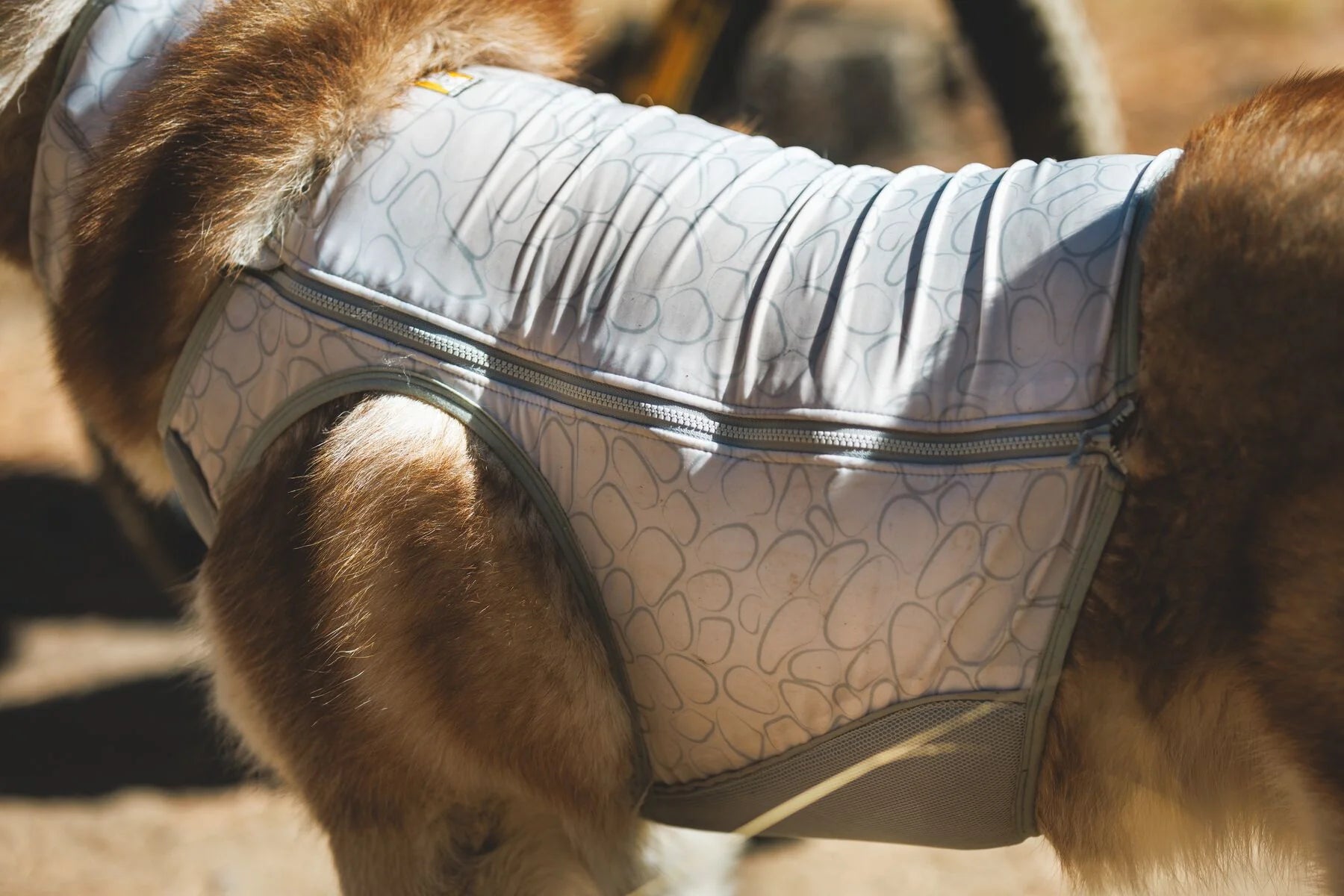 Swamp Cooler Zip™ Cooling Dog Vest