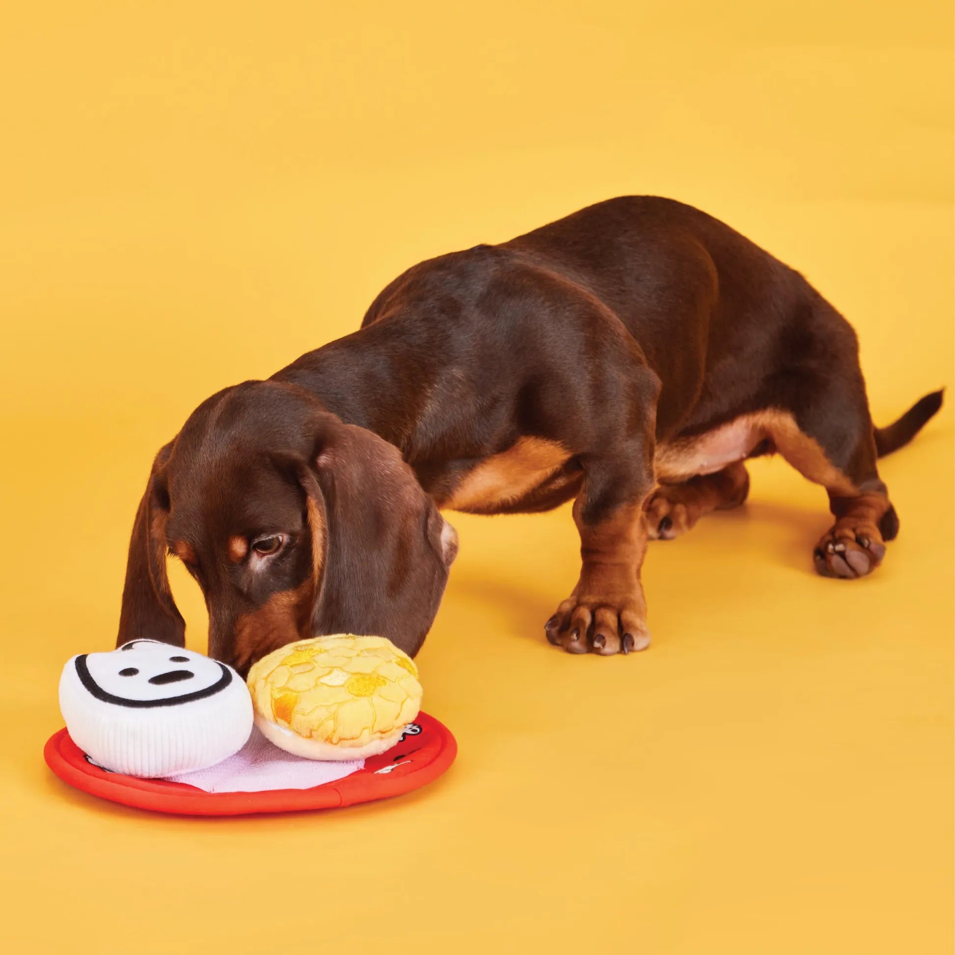 Matsui Dogs x PP Lab Hong Kong Buns Nosework Toy Blind Box