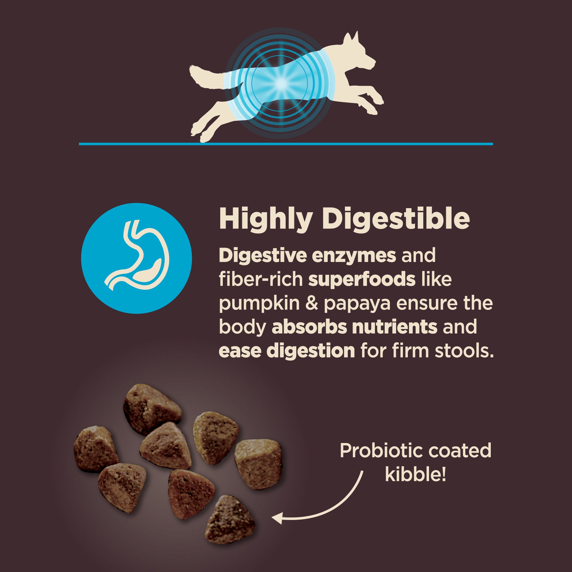 Wellness CORE Digestive Health Whitefish & Brown Rice Adult Dry Dog Food