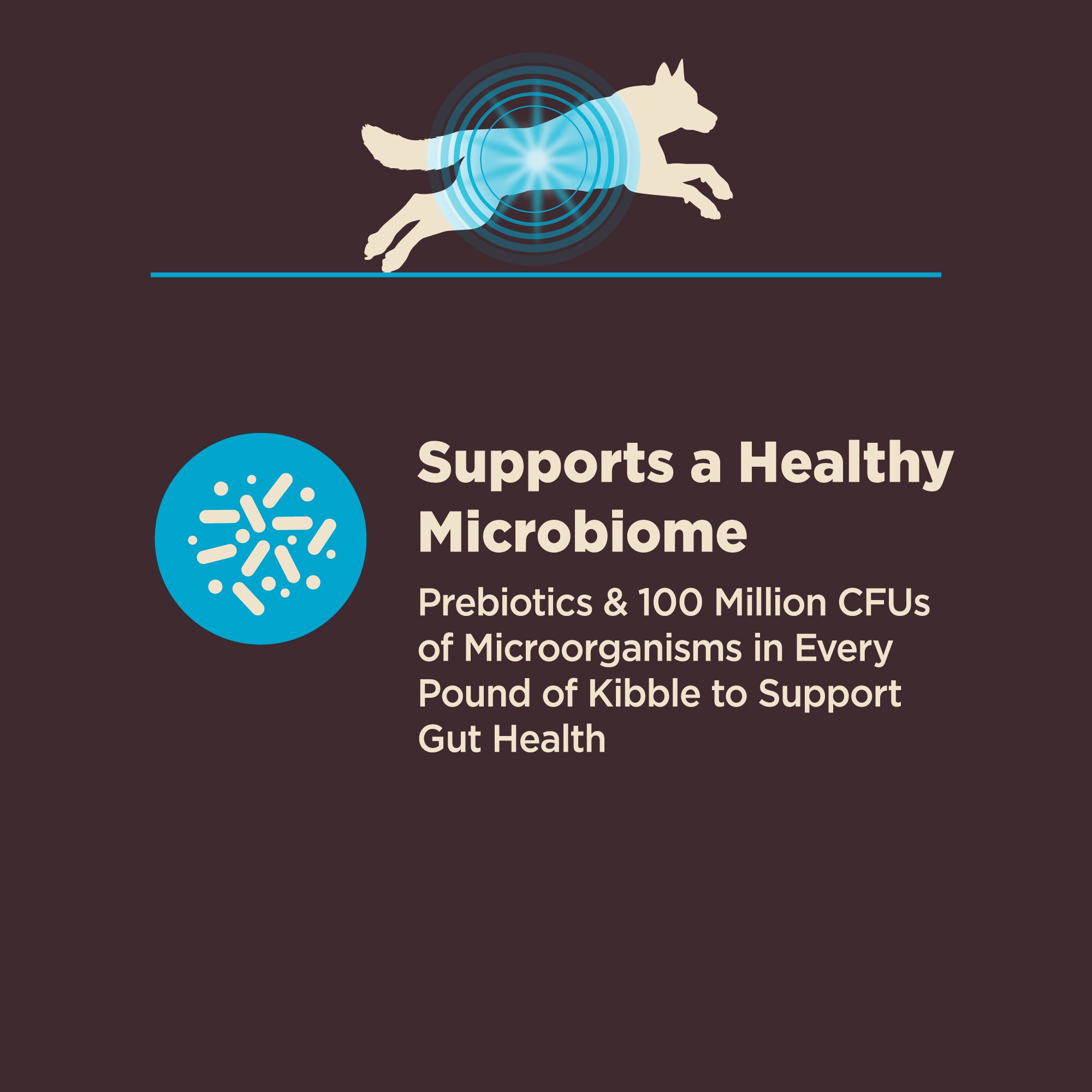 Wellness CORE Digestive Health Whitefish & Brown Rice Adult Dry Dog Food