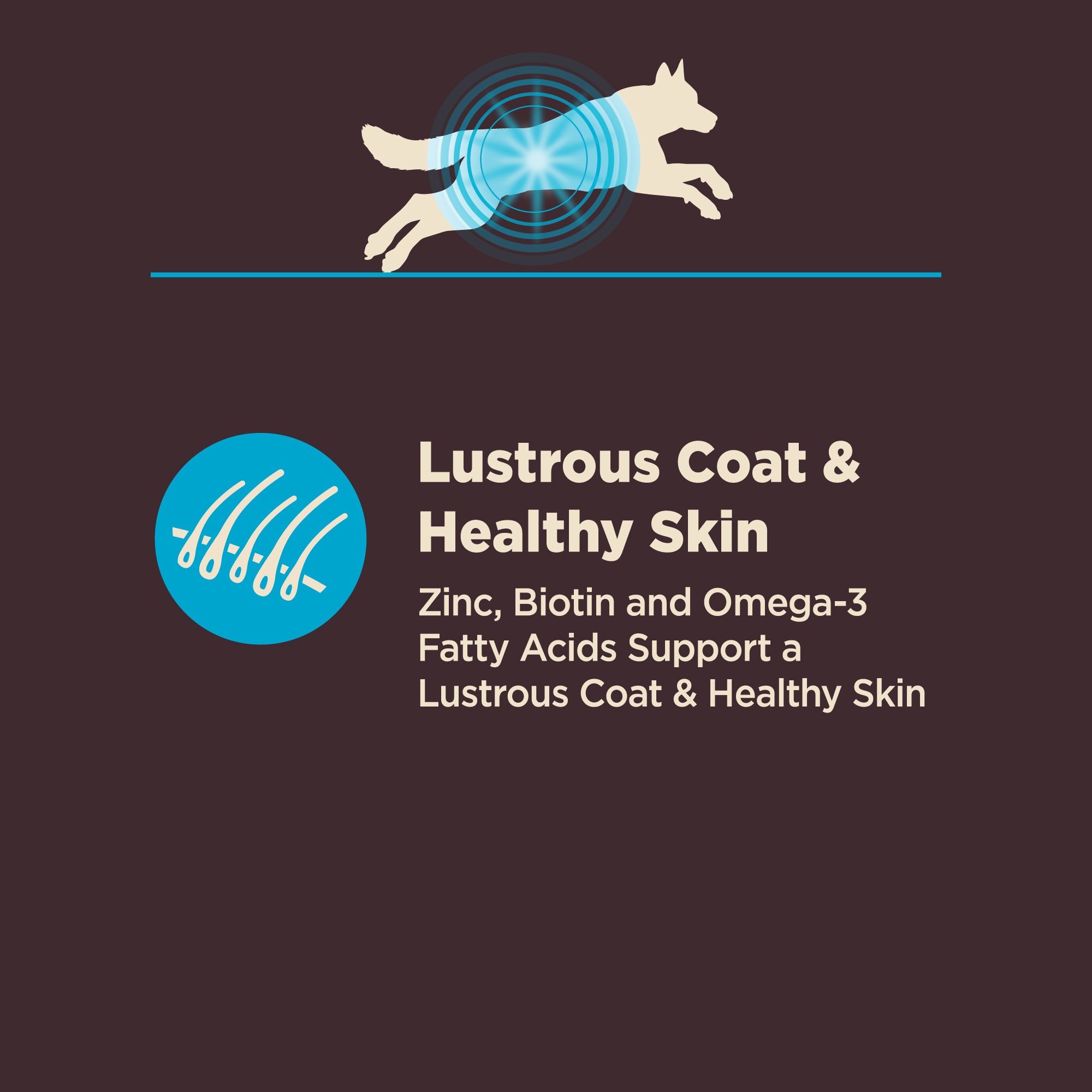 Wellness CORE Digestive Health Whitefish & Brown Rice Adult Dry Dog Food