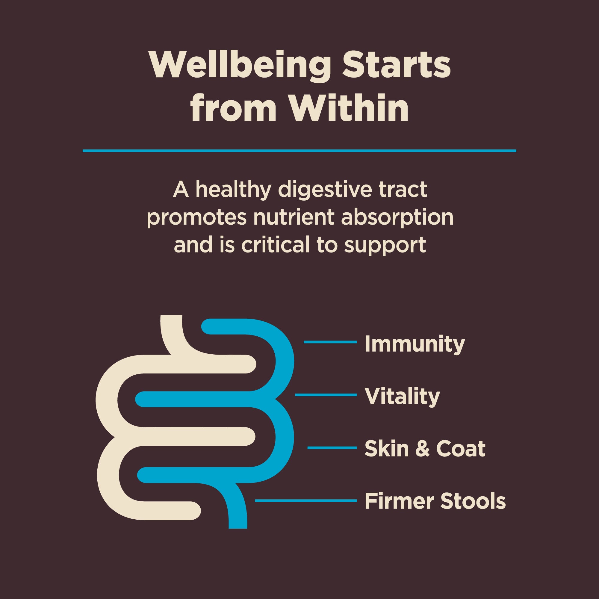 Wellness CORE Digestive Health Whitefish & Brown Rice Adult Dry Dog Food