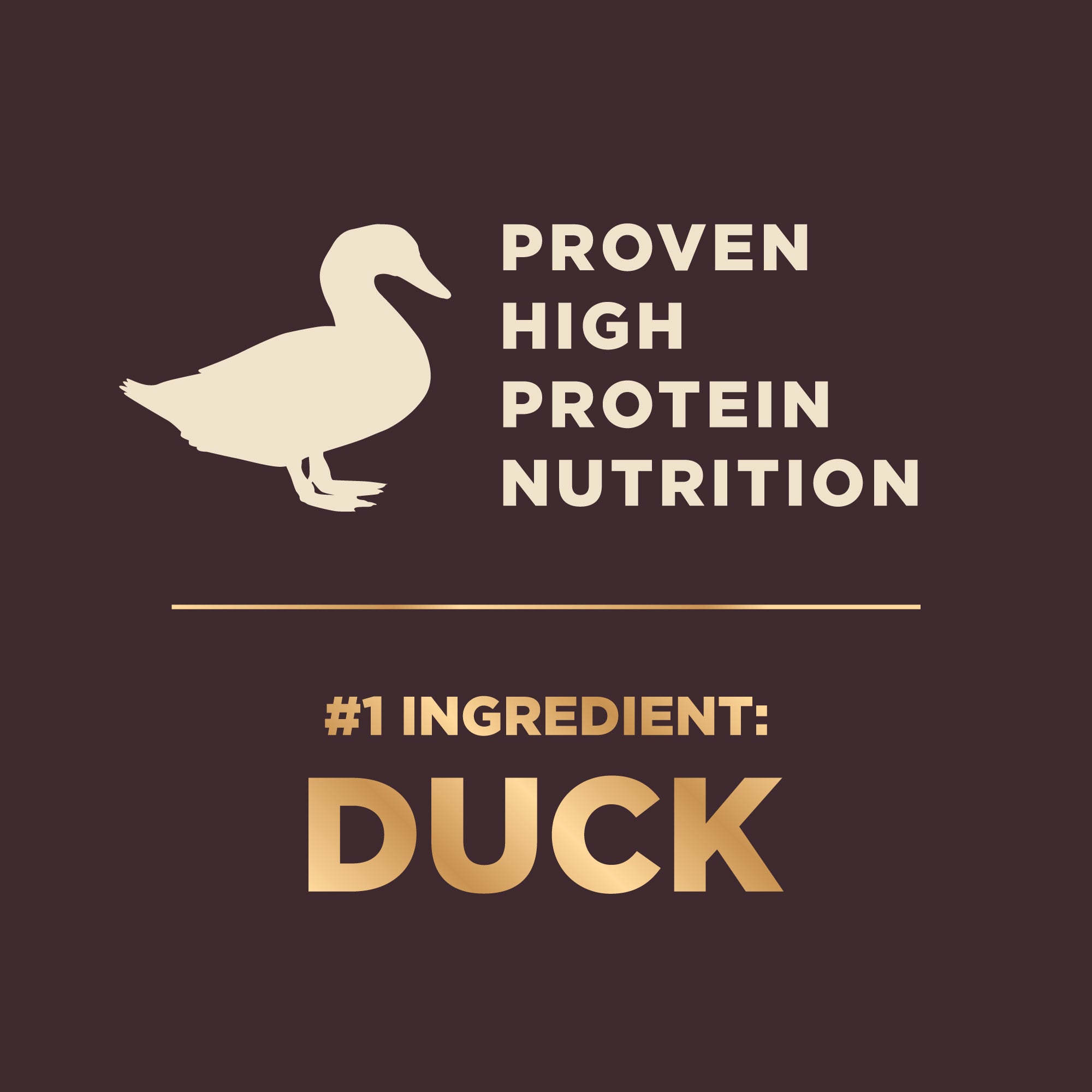 Wellness Core+ (formerly Rawrev) Wild Game With Freeze Dried Lamb Grain Free Dry Dog Food