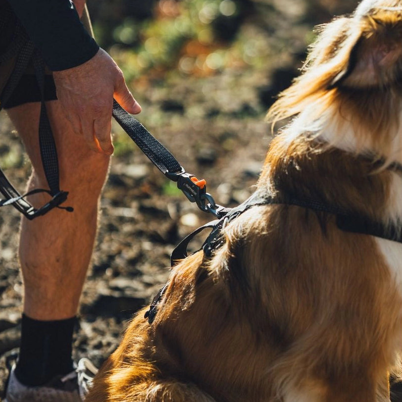 Ridgeline™ Reflective Hands-Free Dog Leash with Auto-Locking Clip | Obsidian Black