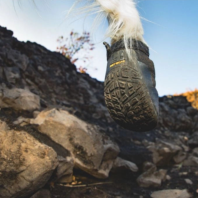 Ridgeline™ Dog Shoes | Obsidian Black