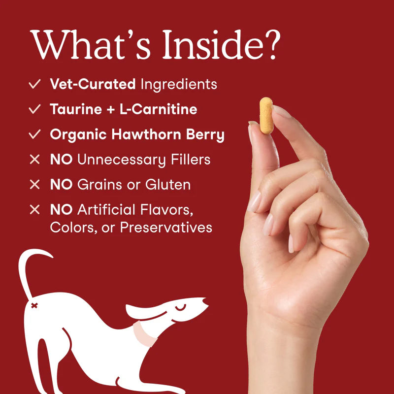 Cardiac Support for Dogs and Cats