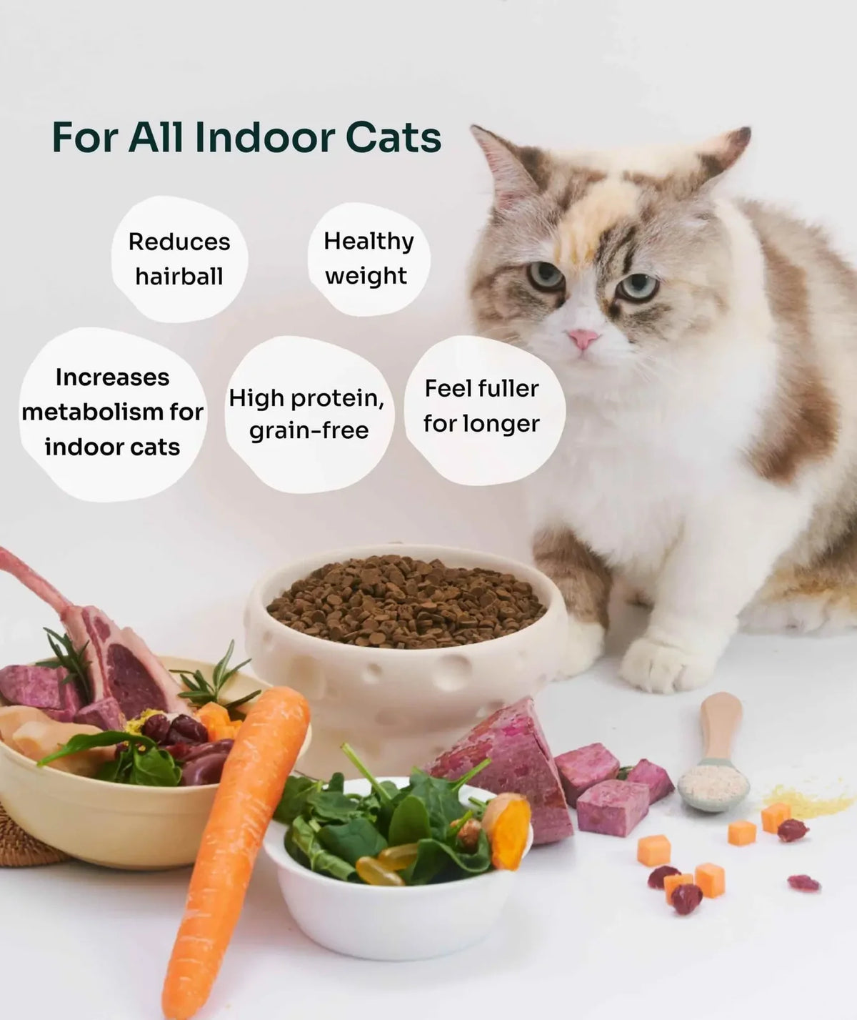 Notti Slow-Baked Fresh Chicken & Lamb Weight Care Cat Dry Food (For Indoor Cats)