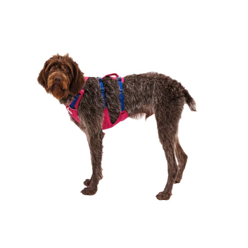 Flagline™ Lightweight & Multi-Use Dog Harness with Handle (4 Colours)