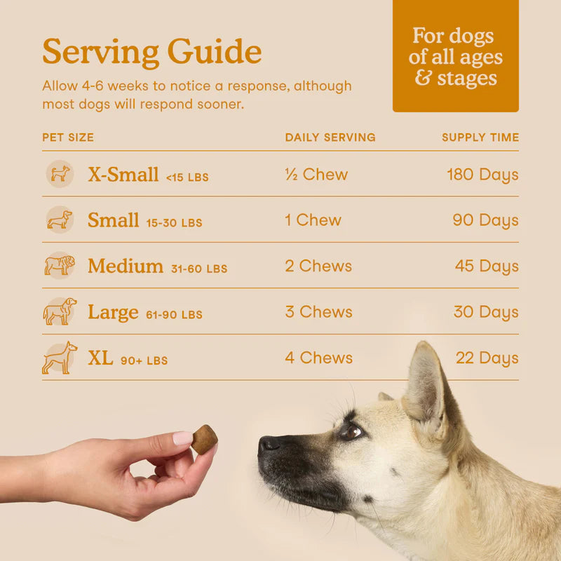 Allergy & Immune Soft Chews For Dogs (90 Chews)