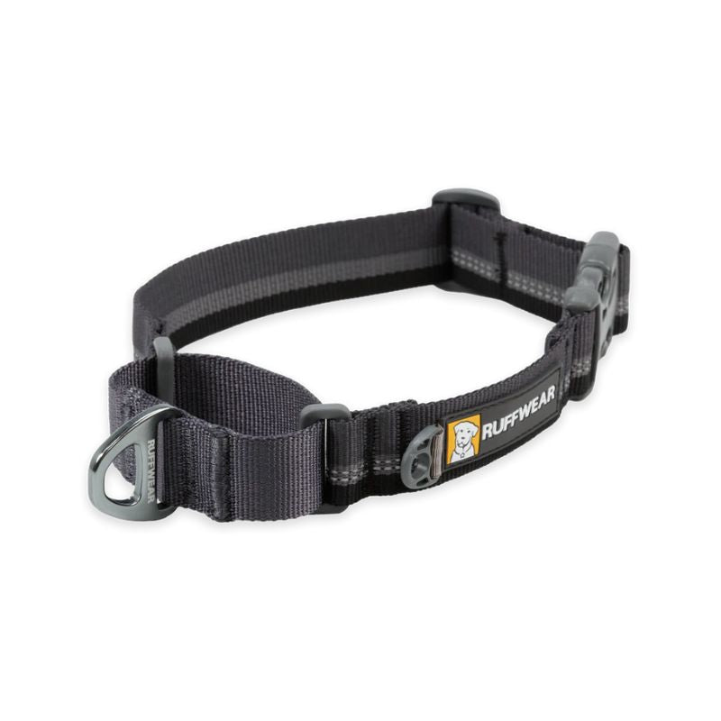 Web Reaction™ Reflective Martingale Dog Collar With Buckle (3 Colours)