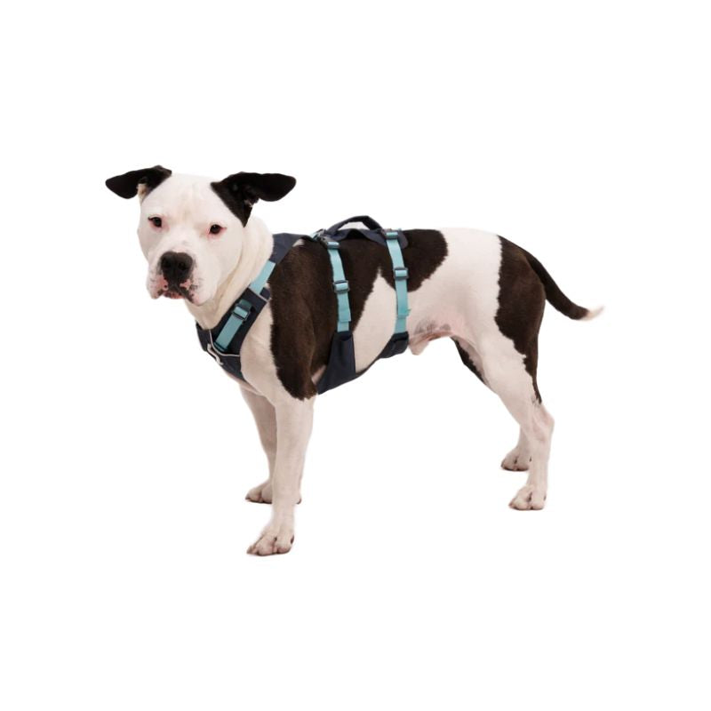 Flagline™ Lightweight & Multi-Use Dog Harness with Handle (4 Colours)