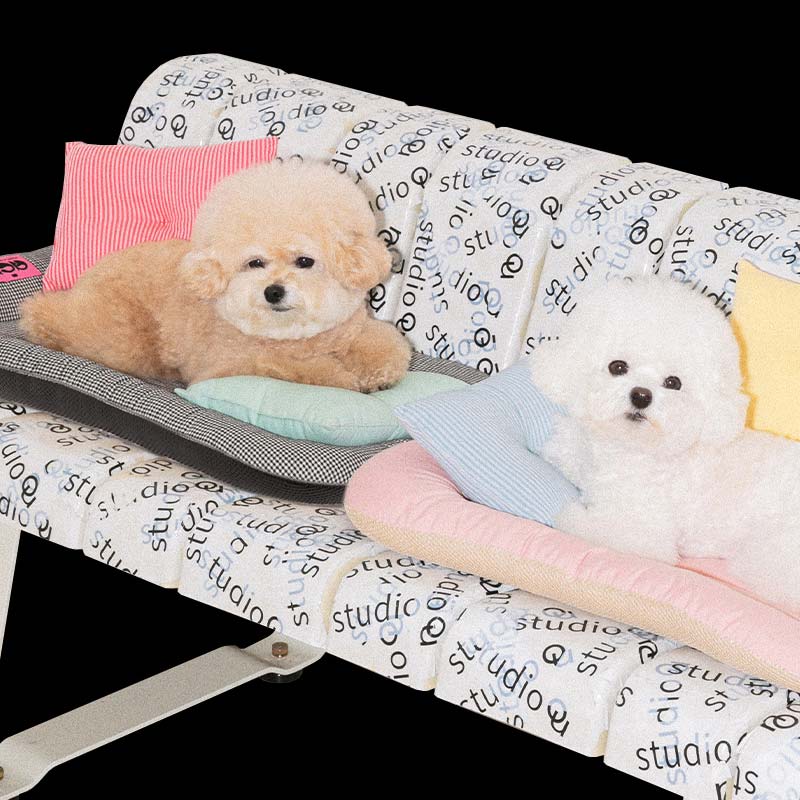 Bite Me ACR Mini Pillow (4 Colours) - CreatureLand