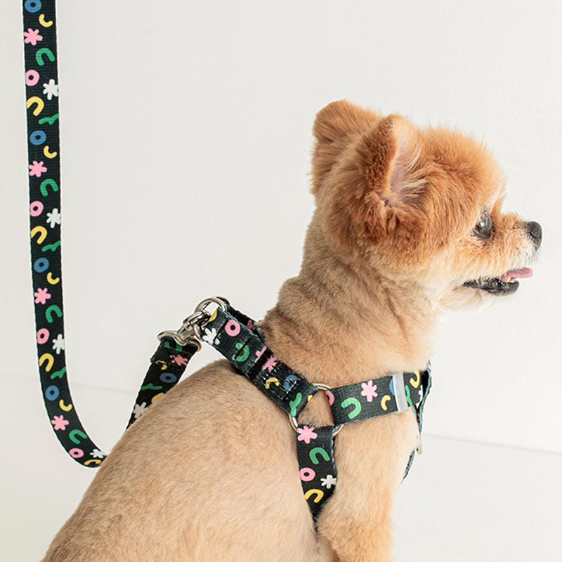 Bite Me Bite Me x PPP Studio | Hands - Free Leash - CreatureLand