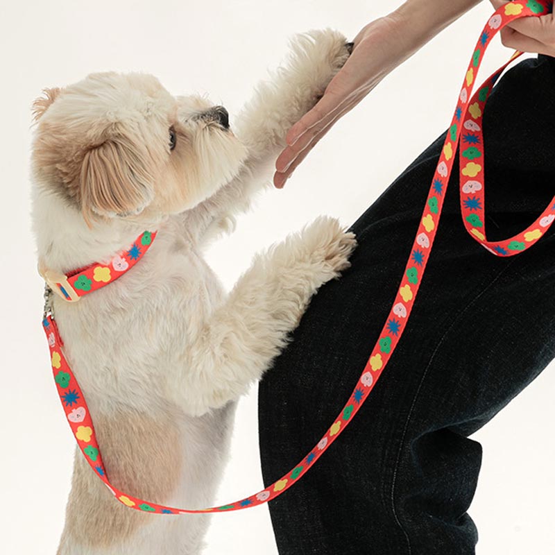 Bite Me Bite Me x PPP Studio | Hands - Free Leash - CreatureLand