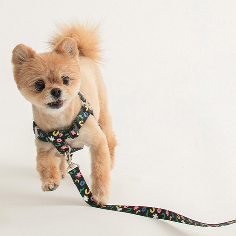 Bite Me Bite Me x PPP Studio | Hands - Free Leash - CreatureLand