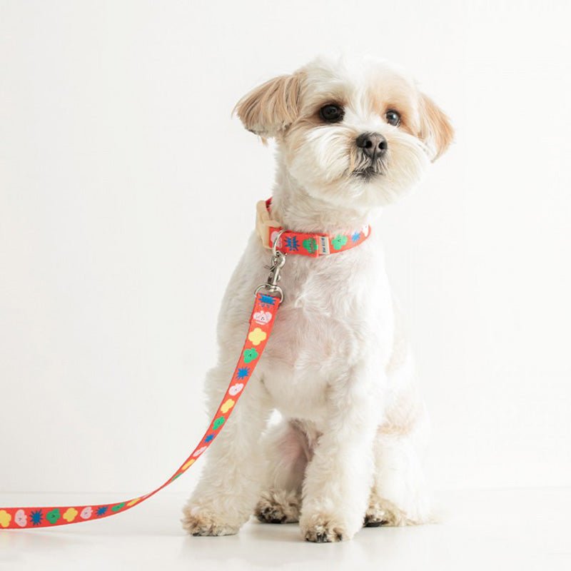 Bite Me Bite Me x PPP Studio | Hands - Free Leash - CreatureLand