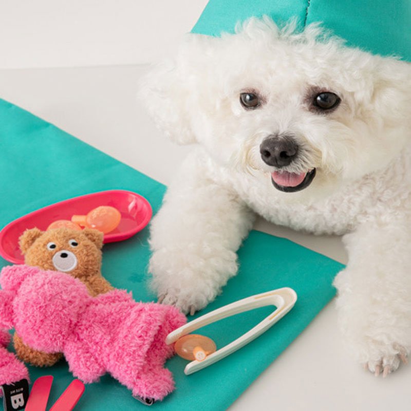 Bite Me Bunny and Bear Squeaker Refill Toy (2 Designs) - CreatureLand