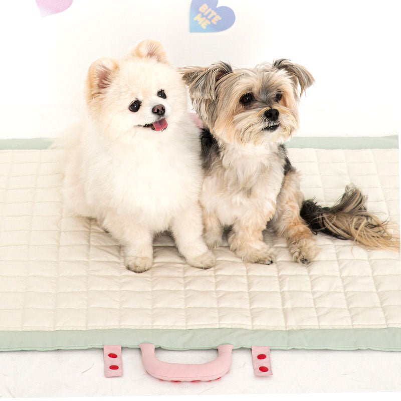 Bite Me Compact Soft Mat (2 Colours) - CreatureLand