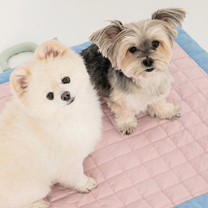 Bite Me Compact Soft Mat (2 Colours) - CreatureLand