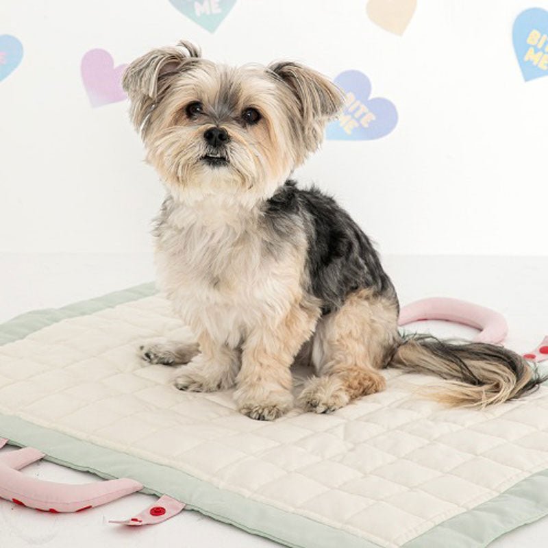 Bite Me Compact Soft Mat (2 Colours) - CreatureLand