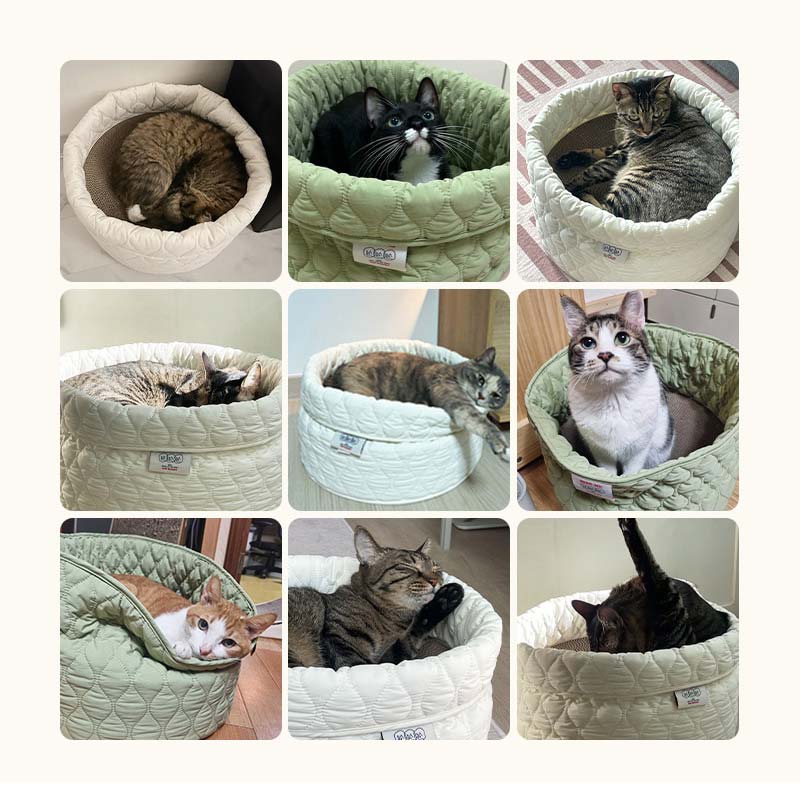 Bite Me Cozy Cat Hideaway Basket - CreatureLand