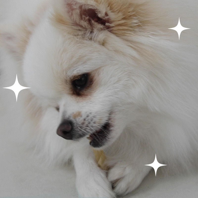 Bite Me Rolly Chew - Dog Beef Chew (Manuka Honey) - CreatureLand