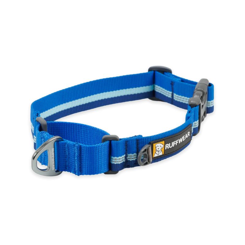 Web Reaction™ Reflective Martingale Dog Collar With Buckle (3 Colours)